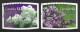 Canada 2007. Scott #2207-8 (U) White And Purple Lilacs  *Complete Set* - Oblitérés