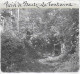 01 / AIN / PARIS DE BOUTZ / LA FONTAINE / DEBUT 20 EME / PLAQUE DE VERRE PHOTO STEREO / RARE CLICHE - Plaques De Verre