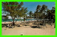 MIAMI BEACH, FL - RENTED ALAMO VACATION CAR - - Miami Beach