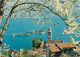 Switzerland Ronco E Le Isole Ticino Lago Maggiore - Ronco Sopra Ascona
