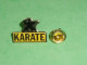TB3ii / Pin's / Sports :  Karaté                             ( état ,voir Scan ) - Judo