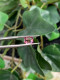 Delcampe - Natural Spinel 1.64 Carat Vietnam Cushion Rectangular Loose Gemstone See Video - Andere & Zonder Classificatie