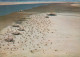 D-25826 St. Peter-Ording - Arche Noah - Cekade Luftbild - Aerial View - St. Peter-Ording