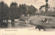 BELGIQUE - Environs De Virton - Dampicourt - Pré - Campagne - Vaches - Carte Postale Ancienne - Virton