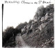 74  / MIEUSSY / CHEMIN DE  SAINT GRAS  / DEBUT 20 EME  / PLAQUE DE VERRE PHOTO STEREO / - Mieussy
