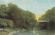BELGIQUE - Anvers - Parc - Saule Pleureur Au Bord D'un étang - Pont - Carte Postale Ancienne - Antwerpen