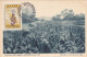 PLANTS, TOBACCO, CM, MAXICARD, CARTES MAXIMUM, 1953, GREECE - Tobacco