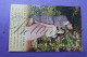 Delcampe - Koppels  Coeurs Amour Liefde Lot X 80 Cpa/ Postkaarten - Rebecq