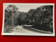AK Australien Australia Murray Views Picnic Point And Range Road Toowoomba Old Postcard - Towoomba / Darling Downs