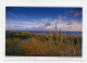 AK 145541 NETHERLANDS - Am Strand Von Terschelling - Terschelling