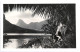 C. P. A. Photo : TAHITI : Paysage Avec 2 Vahinés Assises - Tahiti