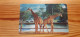 Phonecard Brazil - Giraffe - Brasilien
