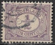 Violet Haaltje Aan De E Van CEnt In 1919 ½ Cent Violet NVPH 50 - Plaatfouten En Curiosa