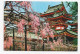 3789  Postal Tokyo     1981 Japón, Japan - Brieven En Documenten