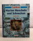 Lexikon. Marine Muscheln Und Schnecken. - Lessico
