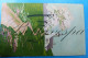 Delcampe - Paintings Art Kunst Schilderijen Lot  X 55 Cpa Illustrateur - Paintings