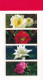 MiNr. 1995 - 1998 (Block 57) Kanada (Dominion) 2001, 1. Aug. Blockausgabe: Internationale Briefmarke Postfrisch/**/MNH - Nuevos