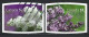 Canada 2007. Scott #2207-8 (U) White And Purple Lilacs  *Complete Set* - Oblitérés