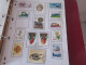 Delcampe - POLOGNE  LOT - Collections