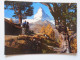 D196828    Switzerland -  Matterhorn   -  1981 Sent To Hungary  -Radványi - Matt