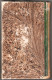 LIBRO DEL 1846 - ANNALI DELLA PROPAGAZIONE DELLA FEDE - TIPOGRAFIA DE BONIS - NAPOLI - 721 PAGINE NUMERATE (STAMP301) - Libri Antichi