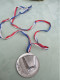 Grande Médaille De Musique/Bronze  Argenté / Accordéon Et Rameaux De Lauriers   /seconde Moitié Du  XXème  PART335 - Andere & Zonder Classificatie
