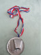 Delcampe - Grande Médaille De Musique/Bronze  Argenté / Accordéon Et Rameaux De Lauriers   /seconde Moitié Du  XXème  PART335 - Autres & Non Classés