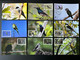 Madagascar Madagaskar 2021 / 2022 Mi. 2726 - 2745 Carte Maximum Card Oiseaux Endémiques Birds Vögel Fauna - Autres & Non Classés