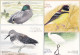 Hongkong, 1997, Pk-Set Vögel Nr 3. (4) - Postal Stationery