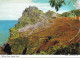 VALLEY OF ROCKS, LYNTON, DEVON, ENGLAND. UNUSED POSTCARD   Wp6 - Lynmouth & Lynton