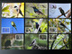 Madagascar Madagaskar 2021 / 2022 Mi. 2726 - 2745 Carte Maximum Card Oiseaux Endémiques Birds Vögel Fauna - Madagascar (1960-...)