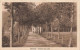 BELGIQUE - Malmedy - Pouhon Des Jiers - Allée - Maison De Campagne - Carte Postale Ancienne - Verviers
