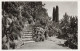 MONACO - Jardin Exotique - CEREUS, OPUNTIA, ALOES Divers - Carte Postale Ancienne - Jardín Exótico