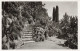 MONACO - Jardin Exotique - CEREUS, OPUNTIA, ALOES Divers - Carte Postale Ancienne - Exotische Tuin