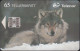 Norway - N113 Animal : Wolf - C83023291 - Norvège