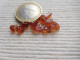 LOT CRISTAUX NATUREL ORIGINE MADAGASCAR 11.75 CARATS GRENATS SPESSARTITE C74 - Ohne Zuordnung