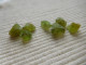 LOT CRISTAUX NATUREL DE PERIDOT 14.40 K VERT OLIVE MADAGASCAR PIERRE FINE C24 - Non Classificati