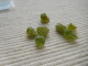 LOT CRISTAUX NATUREL DE PERIDOT 14.40 K VERT OLIVE MADAGASCAR PIERRE FINE C24 - Ohne Zuordnung