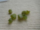 LOT CRISTAUX NATUREL DE PERIDOT 14.40 K VERT OLIVE MADAGASCAR PIERRE FINE C24 - Ohne Zuordnung