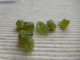 LOT CRISTAUX NATUREL DE PERIDOT 14.40 K VERT OLIVE MADAGASCAR PIERRE FINE C24 - Zonder Classificatie