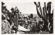 BELGIQUE - TURNHOUT - Les Jardins Exotiques - Cactus Divers - Carte Postale Ancienne - Turnhout