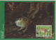 Nouvelle Zélande Carte Maximum 2000 Oiseaux 1792-98 (7 Cartes) - Covers & Documents