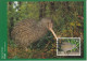 Delcampe - Nouvelle Zélande Carte Maximum 2000 Oiseaux 1792-98 (7 Cartes) - Brieven En Documenten