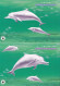 Hongkong, 1998, Pk-Set Weiße Delphine,  (4) - Ganzsachen