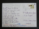PORTUGAL AVEC YT 2471 GLAREOLE A COLLIER OISEAU BIRD VOGEL - ALGARVE - Lettres & Documents