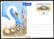 Aland: FDC, Intero, Stationery, Entier, Cigno Reale, Mute Swan, Cygne Muet - Swans