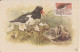 1961 - NEDERLAND - CARTE MAXIMUM OISEAUX OBLITERATION DEN BURG (TEXEL) - Maximumkaarten