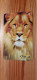 Phonecard Brazil - Lion - Brasilien