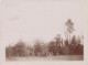 Le Portereau Des Landes , St Sébastien Sur Loire * 11 Photos Anciennes Albuminées Circa Vers 1900 Format 12x9cm - Saint-Sébastien-sur-Loire