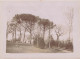 Delcampe - Le Portereau Des Landes , St Sébastien Sur Loire * 11 Photos Anciennes Albuminées Circa Vers 1900 Format 12x9cm - Saint-Sébastien-sur-Loire